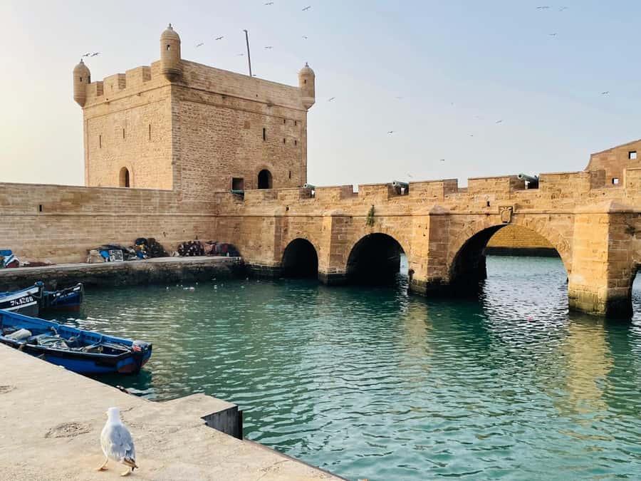 Essaouira: Sqala du Port, Citadel, Fish Market & Medina Tour - One hour through the UNESCO-listed Medina