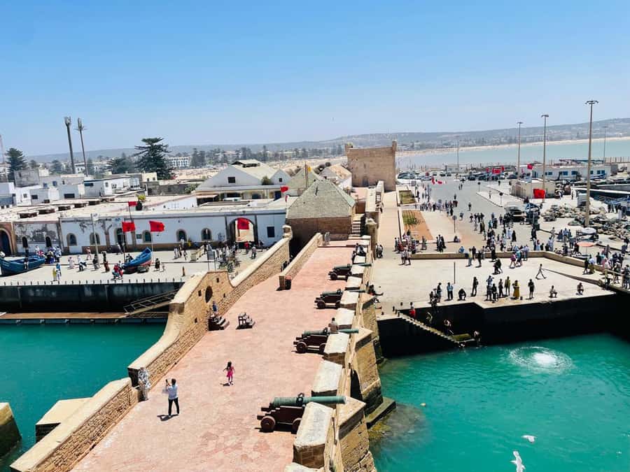 Essaouira: Sqala du Port, Citadel, Fish Market & Medina Tour - Meeting at Bab Sbaa and Moulay Hassan Square