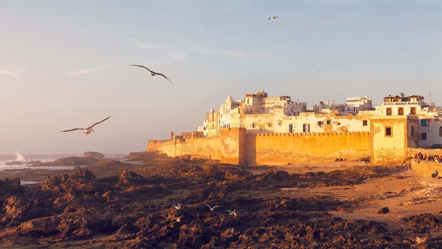 Essaouira: Sqala du Port, Medina Ramparts & Fish Market Tour - Movie connections and local stories