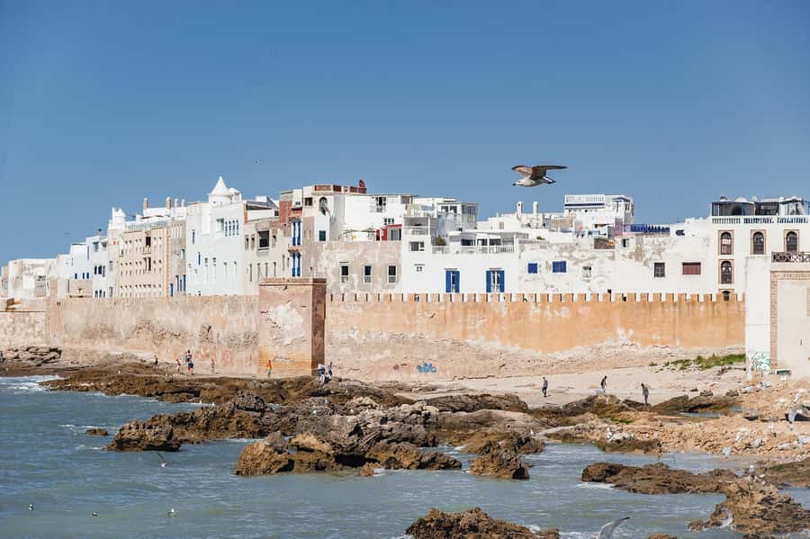 Essaouira: Sqala du Port, Medina Ramparts & Fish Market Tour - Skala du Port: cannons above the Atlantic