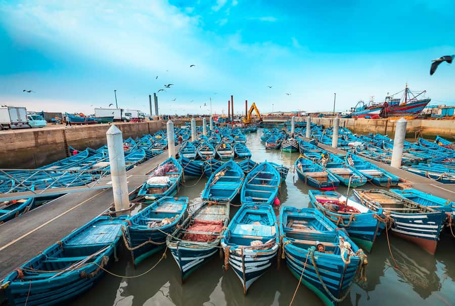 Essaouira: Surf Trip from Marrakech - The drive from Marrakech to the Atlantic