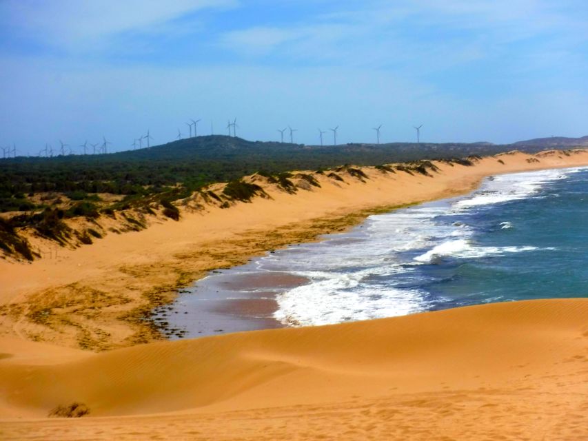 Essaouria: Beach & Big Dunes 2-Hour Quad Biking Tour - Riding the Atlantic beach