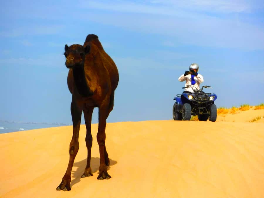 Essaouria: Beach & Big Dunes 2-Hour Quad Biking Tour - What the gear and photos add