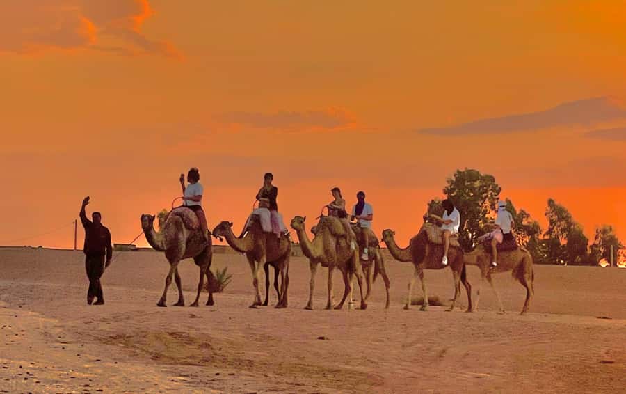 Evening Marrakech: Agafay Desert Quad , Camel & Dinner Shows - A short camel ride at sunset