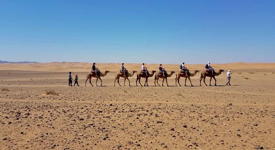 Evening Marrakech: Agafay Desert Quad , Camel & Dinner Shows - How good is the $23 value?