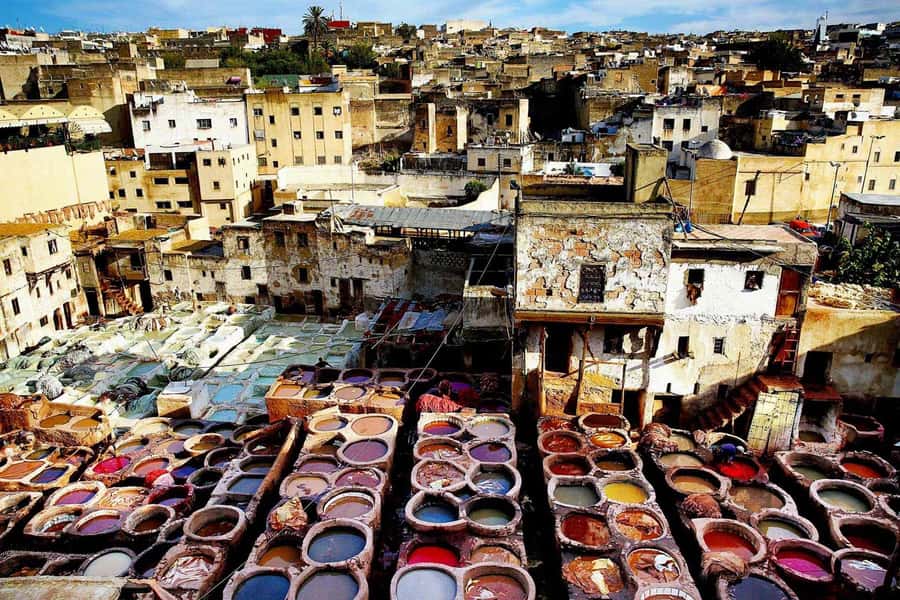Exclusive Fez Medina Walking Tour with a local Guide - Watching Leather Work at Chouara Tannery