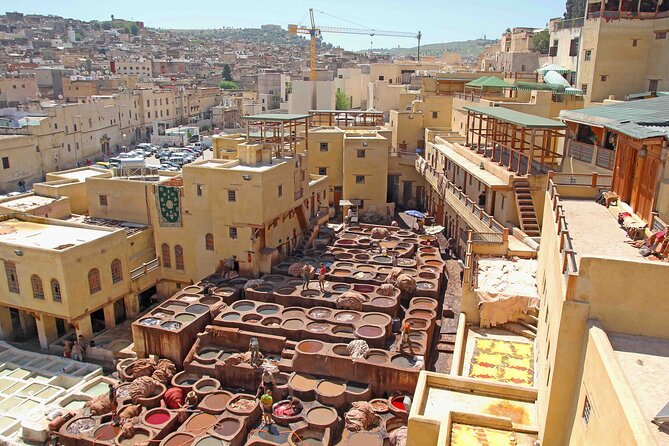 Exclusive Fez Medina Walking Tour with Private Guide - Starting at Bab Boujloud and the city’s western gateway