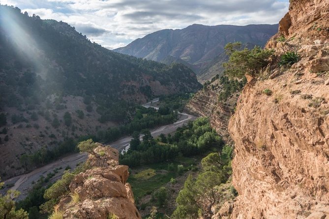 Excursion From Fez to the Middle Atlas Mountains - Azrou’s cedar forest and the monkey question