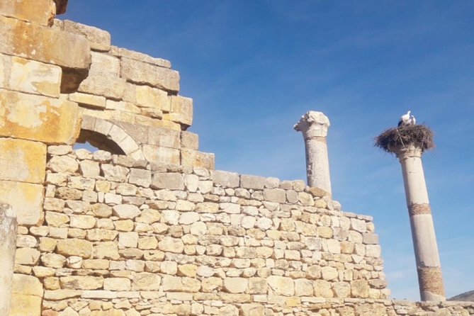 Excursion Meknes Volubilis - Should you book the Fez to Meknes and Volubilis trip?