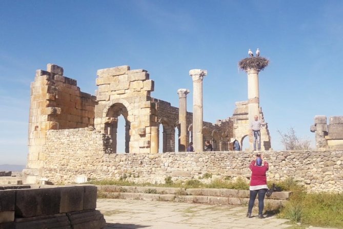 Excursion Meknes Volubilis - A private van makes the long day easier