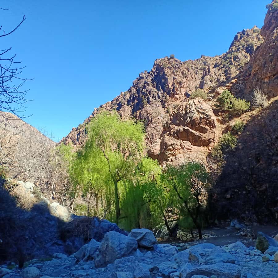 Excursion Ourika valley and atlas mountains with Lunch - Who should book this Ourika Valley trip?