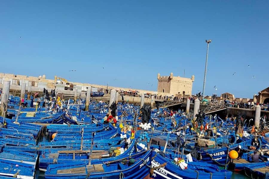 Explore Essaouira's Secrets: A Guided Tour with a Local! - Starting at Essaouira’s harbor