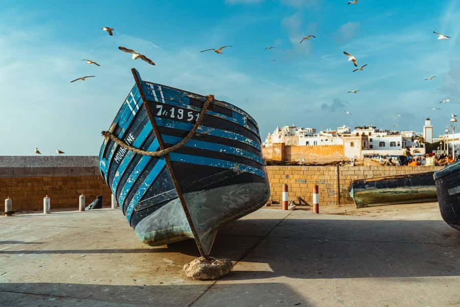 Explore Essaouira's Secrets: A Guided Tour with a Local! - The price and what you actually receive