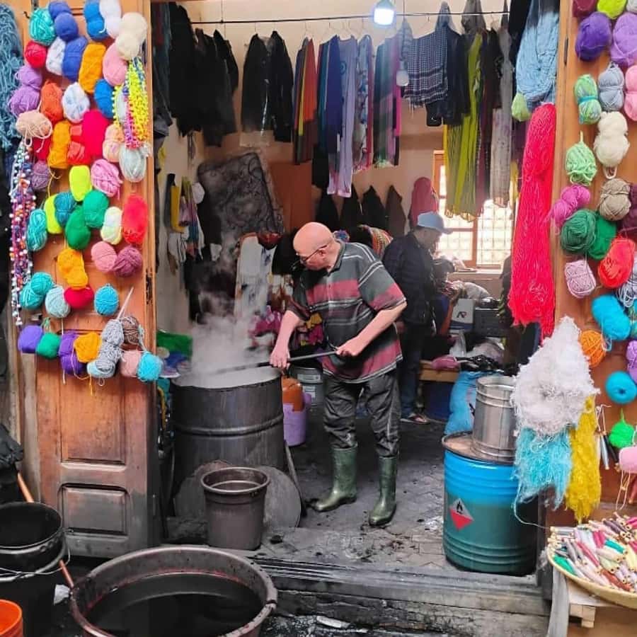 Explore Fes: Unforgettable Guided Walking Tour of the Medina - Why a guide helps inside Fes Medina