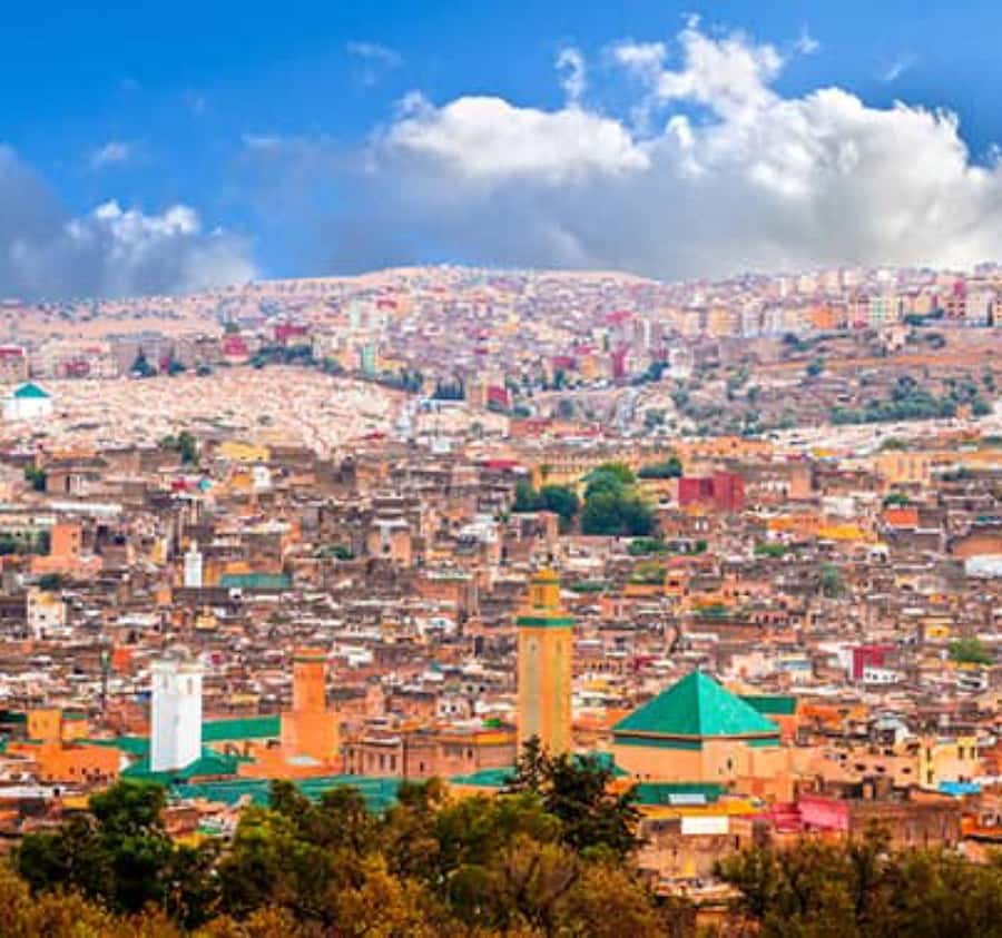 Explore Fes: Unforgettable Guided Walking Tour of the Medina - Is $15 good value?