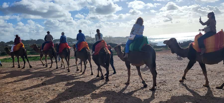 Explore Tangier: Cap Spartel, Cave, & Camel Ride Adventure - Your driver can make or break the afternoon