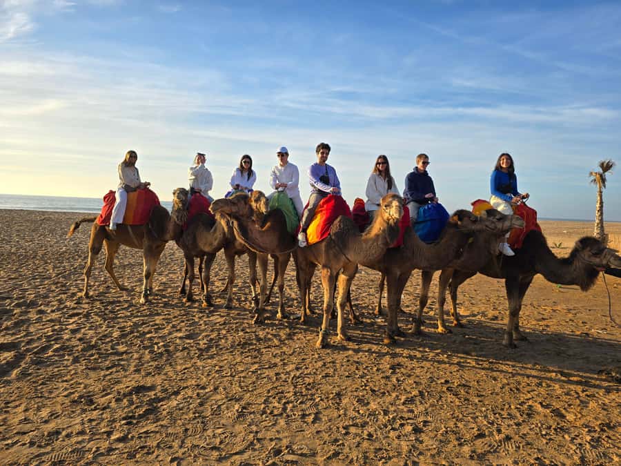 Explore Tangier: Cap Spartel, Cave, & Camel Ride Adventure - What the $33 price really covers