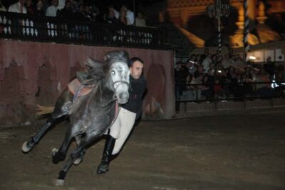 Fantasia 1001 Nights: Dinner + Show from Marrakech
