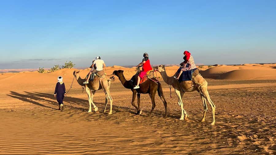 Fes: 3 Days Desert Tour from Fes back to Fez - Key points to know before booking