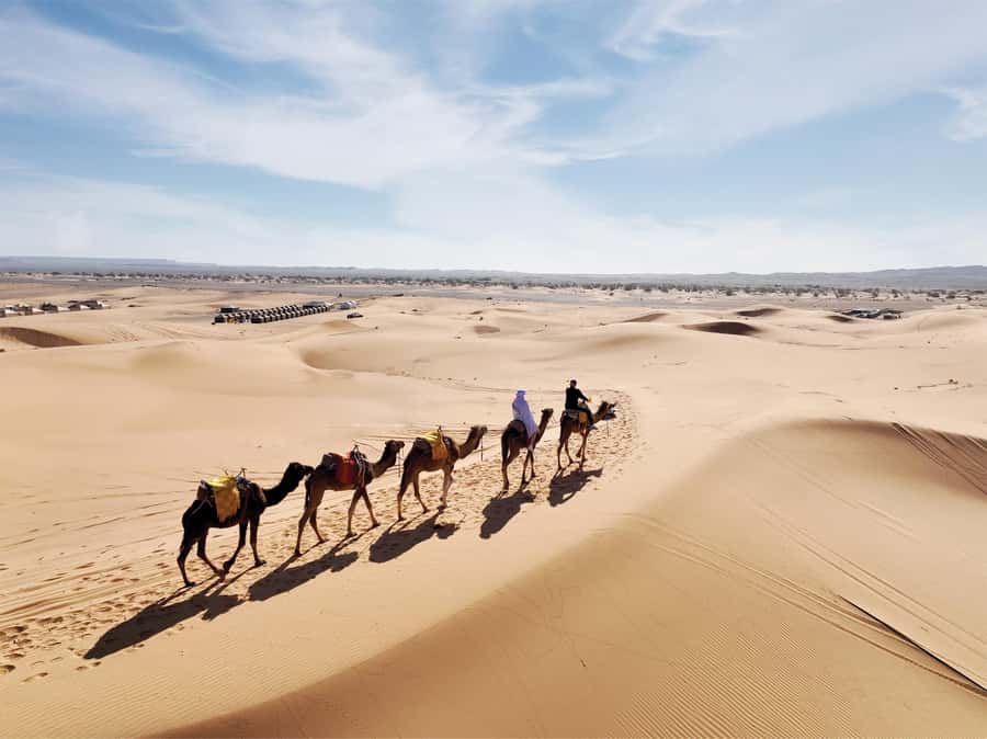 Fes: 3 Days Desert Tour from Fes back to Fez - From Fes to the cedar forests of Azrou