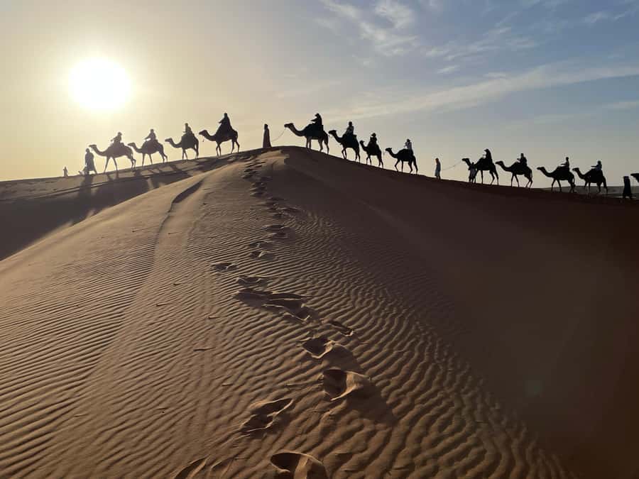 Fes: 3 Days Desert Tour from Fes back to Fez - Who should book this desert trip?