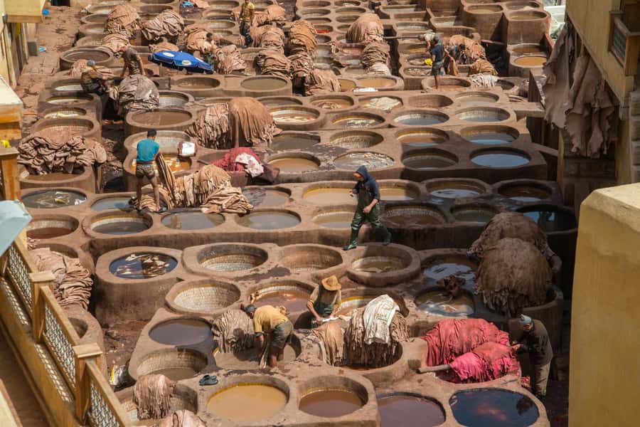 Fes: Attarine Madrasa, Museum, Tannery, Souk and Medina Tour - Price, pace, and what you pay extra