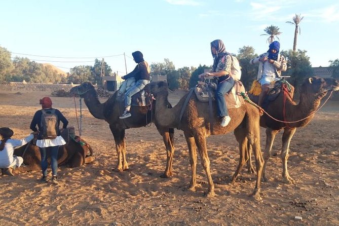 Fes desert tours 2 days - What the private format changes