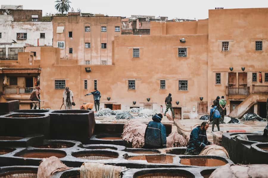 Fes: Royal Palace, Madrasa, Tannery & Souks and Medina Tour - Is $15 a good value?