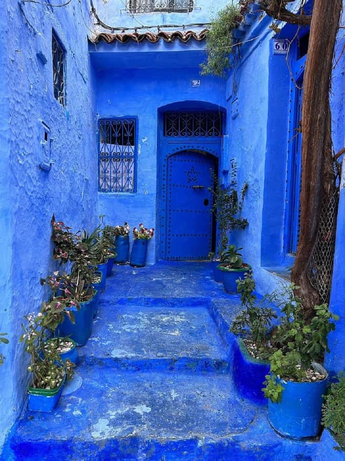 Fes to Chefchaouen Day Trip multi languages(EN/FR/ES/IT/AR) - Why this Fes to Chefchaouen trip works