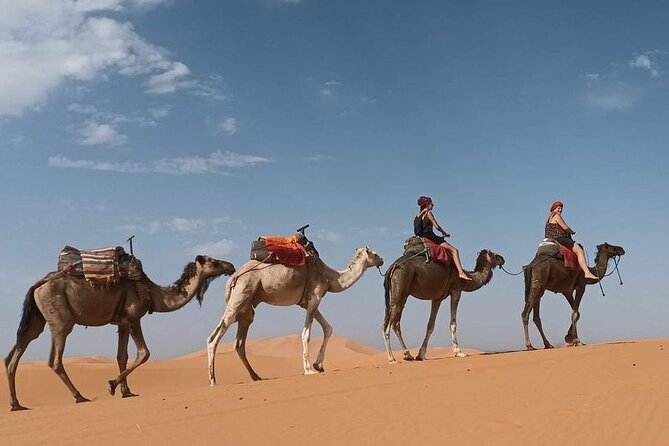 Fes to Desert journey through the heart of Morocco - Rissani, Todra Gorge, and the road to Ouarzazate