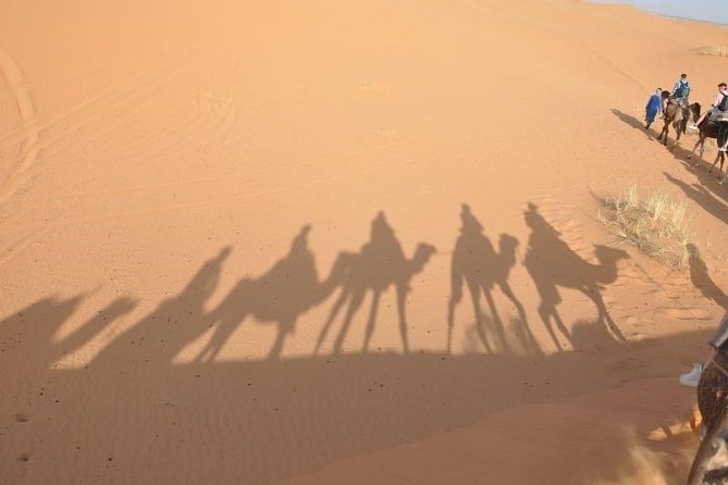 Fes to Fes 2 days via Merzouga desert tour - Key points to know before booking