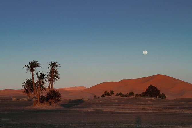 Fes to Fes 2 days via Merzouga desert tour - Fes to Ifrane: Morocco changes character quickly