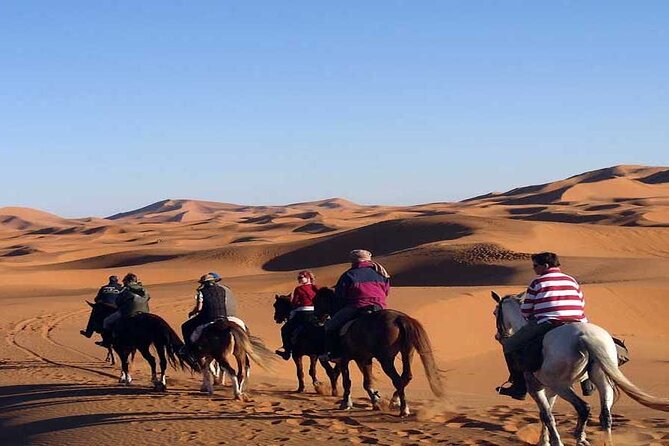 Fes to Fes 2 days via Merzouga desert tour - Through the Middle Atlas to the desert edge