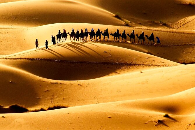 Fes to Fes 2 days via Merzouga desert tour - Who should book this two-day desert route