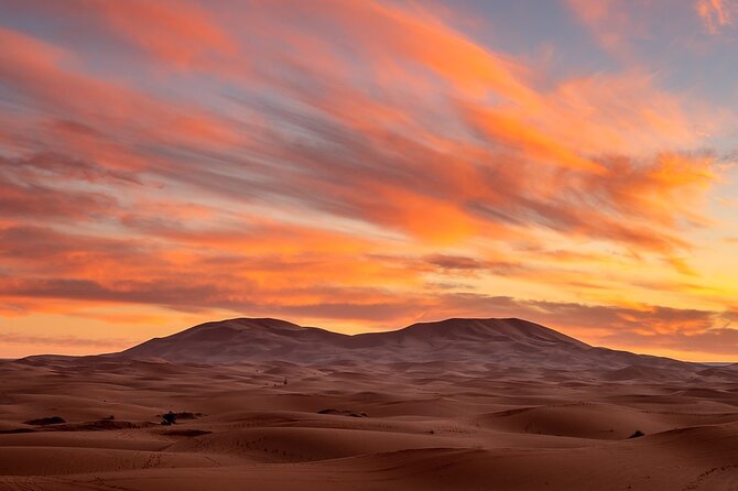 Fes to Fes 2 days via Merzouga desert tour - Azrou’s cedar forest and Barbary macaques