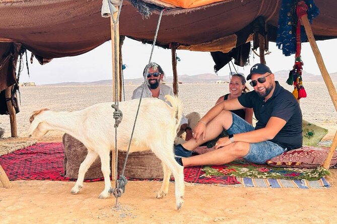 Fes to Fes Private Desert tour 1-night 2-Day Tour luxury camps - Azrou and the cedar forest