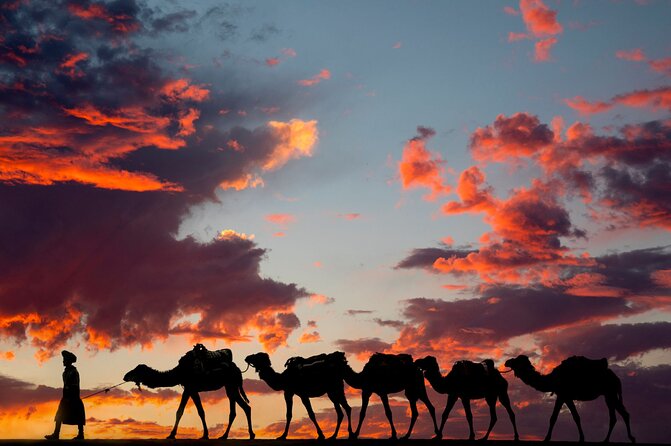 Fes To Marrakech: 3-Day Desert Tour - What $221 Really Buys You
