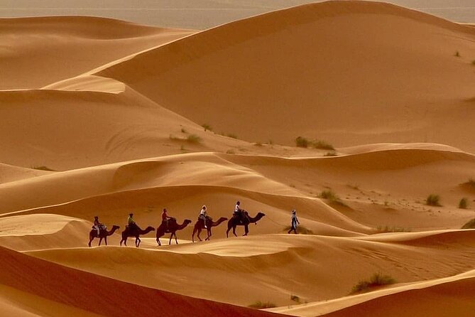 Fes To Marrakech: 3-Day Desert Tour - Who Should Book This Desert Tour