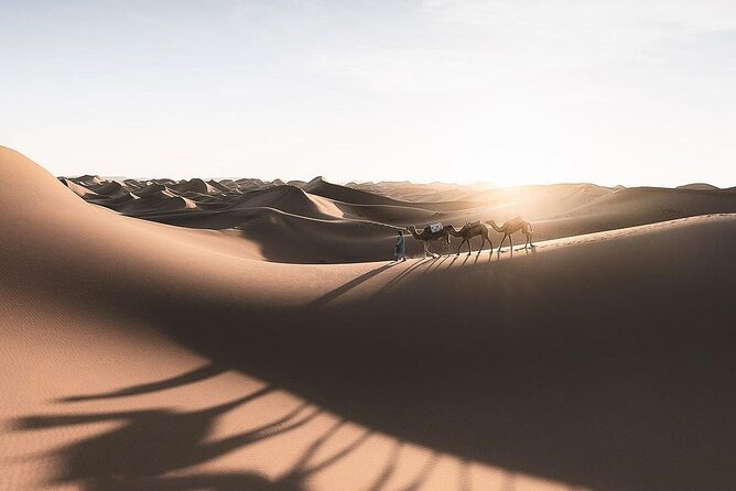 Fes To Marrakech: 3-Day Desert Tour - Should You Book It?