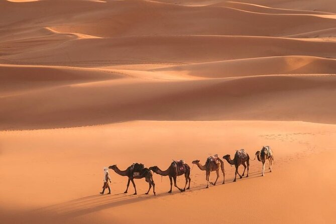 Fes To Marrakech: 3-Day Desert Tour - Todra Gorge and the Dades Valley