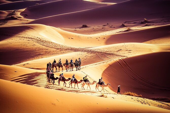 Fes to Marrakech 3 Days Desert Tour - Key points to know before booking
