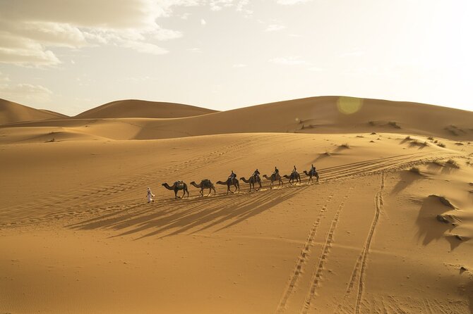 Fes to Marrakech 3 Days Desert Tour - What the $580.73 price includes