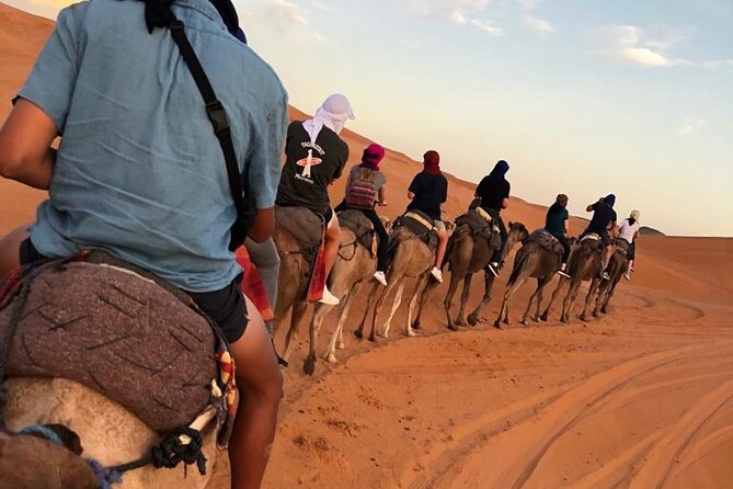 Fes To Marrakech : 3 Days Tour Via The Desert Of Merzouga & Camel - Day three: Ouarzazate, film history, and Ait Ben Haddou