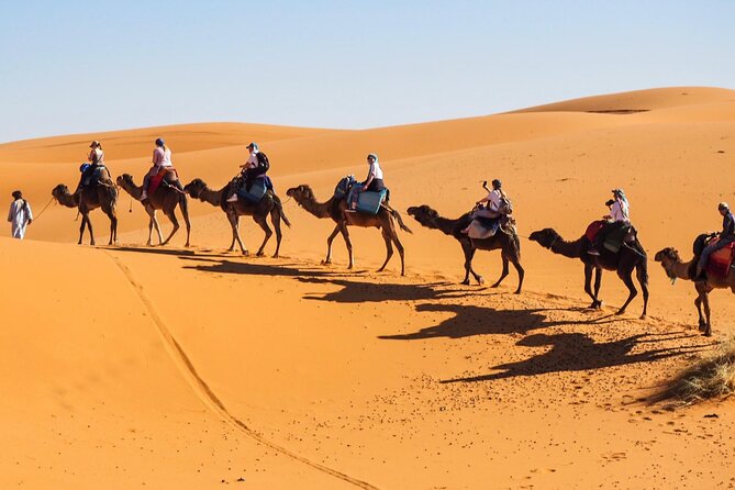 Fes To Marrakech : 3 Days Tour Via The Desert Of Merzouga & Camel - Guides, drivers, and the private-tour advantage