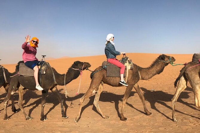 Fes To Marrakech : 3 Days Tour Via The Desert Of Merzouga & Camel - What the price does and does not cover