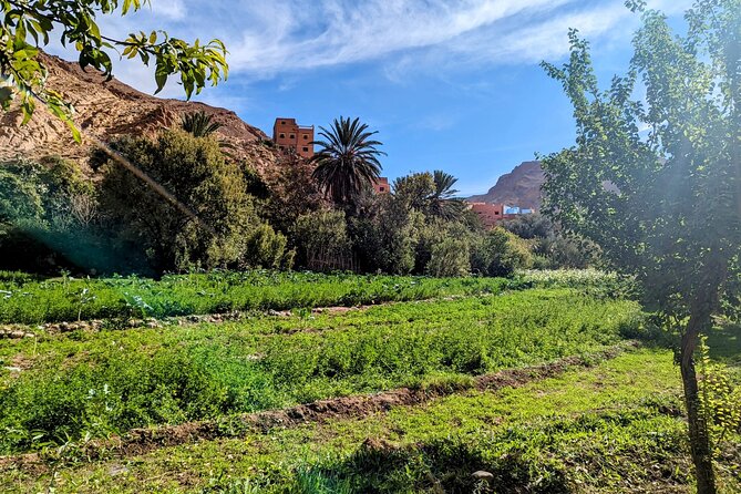 Fes To Marrakech : 3 Days Tour Via The Desert Of Merzouga & Camel - Who will enjoy this three-day schedule?