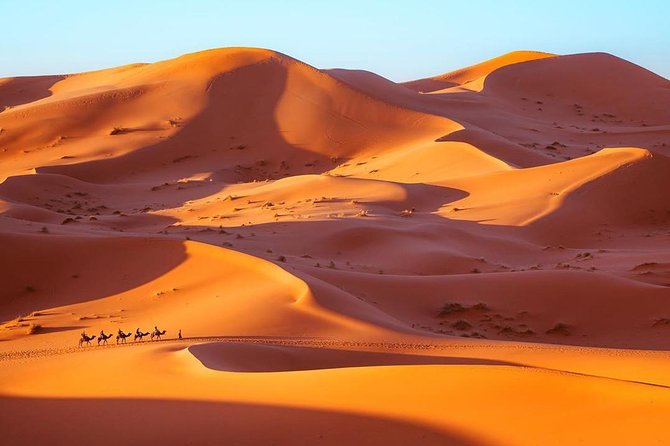 Fes to Marrakech desert tour 3 days - Day two: Rissani, Todra Gorge, and Dades
