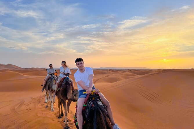 Fes to Marrakech desert tour 3 days - Day one: Ifrane, cedar trees, and the road to Merzouga