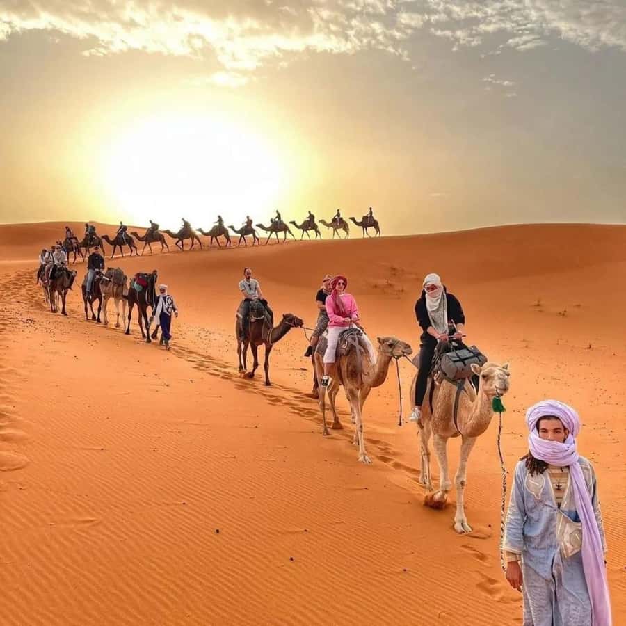 Fez: 2 Day-1 Night Luxury Sahara Desert Trip to Fez/Marakech - What to pack for the two days