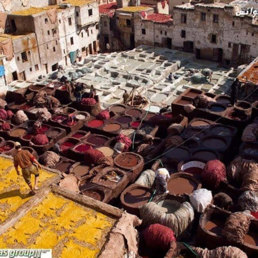 Fez: Guided Walking Tour of the Historic Medina - Souks, street food, and a Moroccan lunch